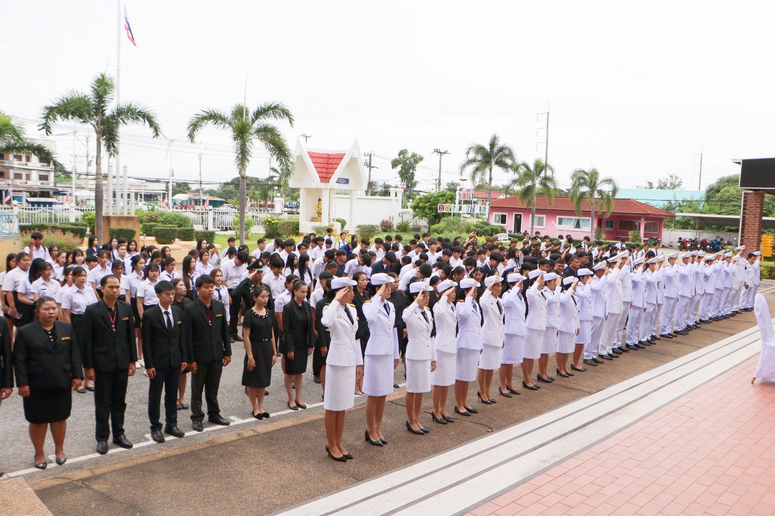 572507805 704303552703185 5439146623814773344 n